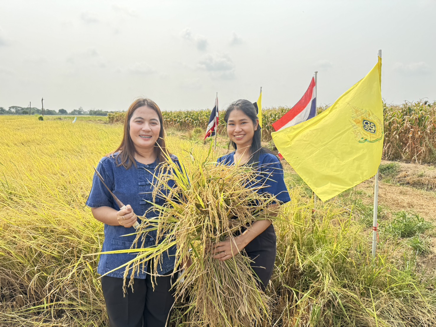 title - ปฏิรูปที่ดินจังหวัดพระนครศรีอยุธยา ร่วมกิจกรรมเกี่ยวข้าว ภายใต้โครงการ “ปลูกข้าวเฉลิมพระเกียรติพระบาทสมเด็จพระเจ้าอยู่หัวฯ เนื่องในโอกาสมหามงคลเฉลิมพระชนมพรรษา ๗๔ พรรษา ๒๘ กรกฎาคม ๒๕๖๙” 
